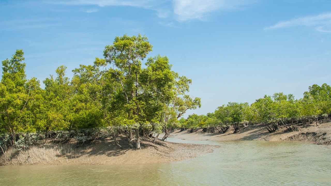 Boat Safari